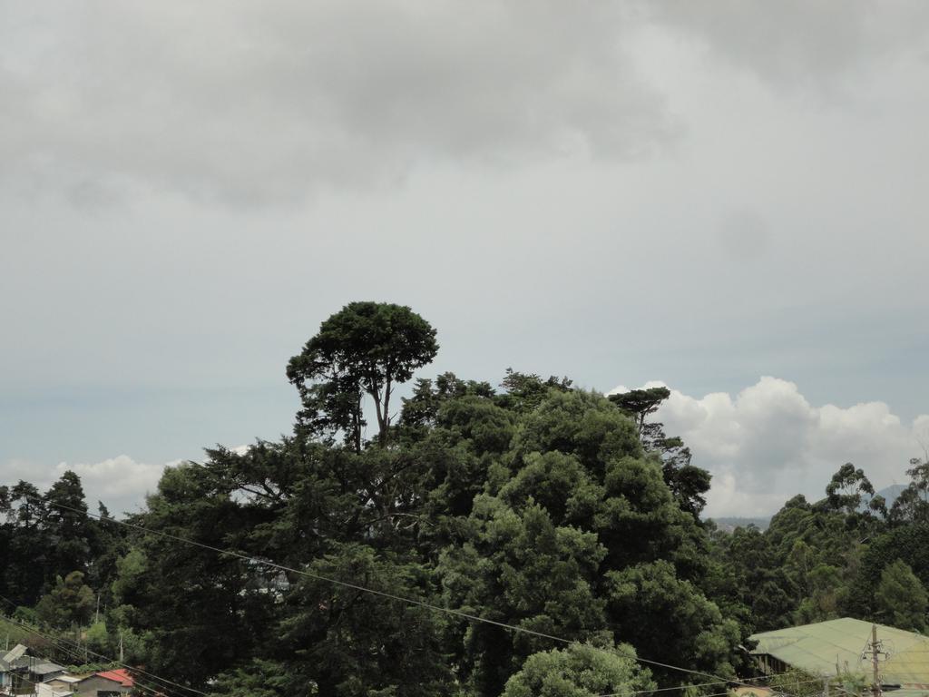 Srihelyes Inn Nuwara Eliya Dış mekan fotoğraf